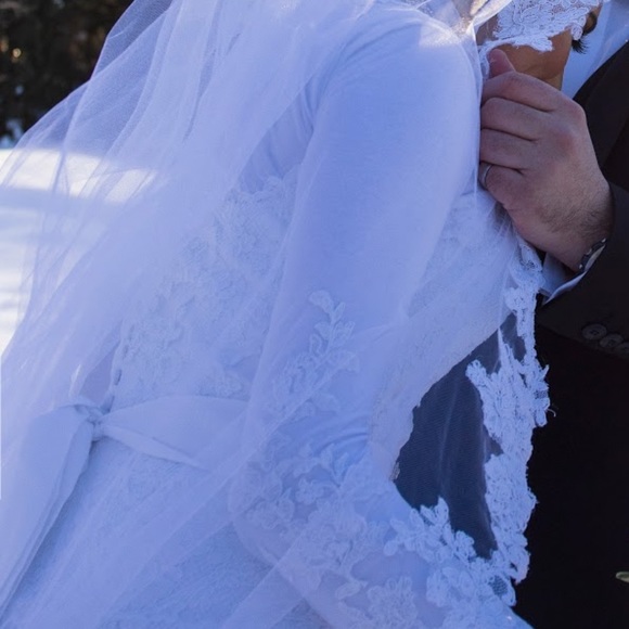 Pronovias LACE A-Line Wedding Dress - Picture 5 of 6